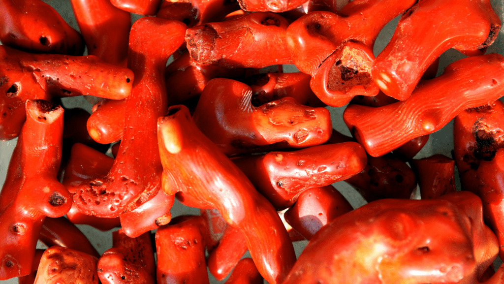 mercan neye iyi gelir